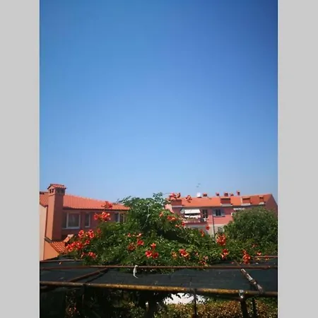 Apartman Casa Di Nonna Pina, Kuca U Blizini Arene Pula
